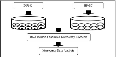 biomedres-openaccess-journal-bjstr