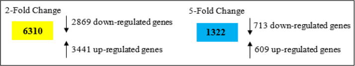biomedres-openaccess-journal-bjstr