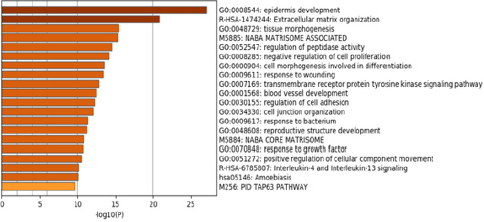 biomedres-openaccess-journal-bjstr