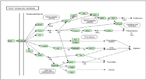 biomedres-openaccess-journal-bjstr