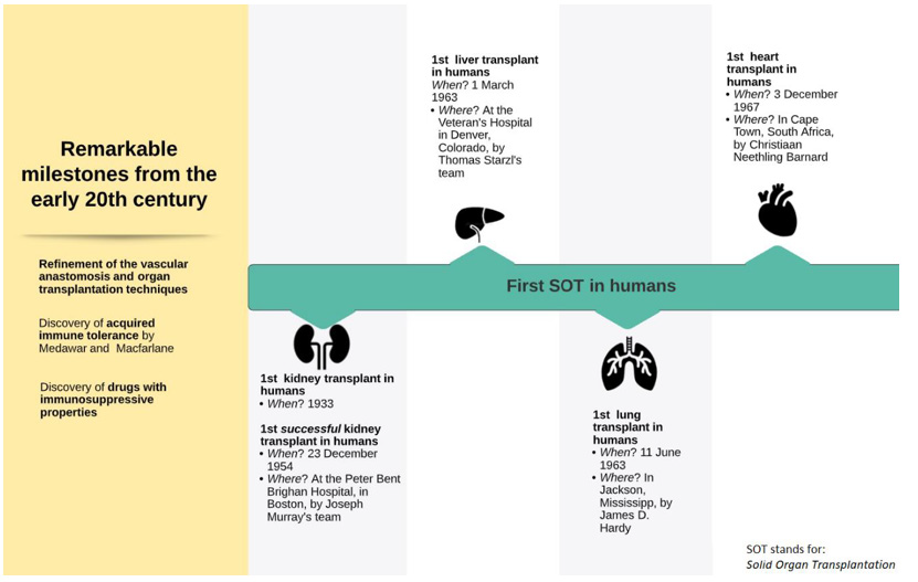 Organ Transplant History Timeline Usa Liver Transplantation Past 