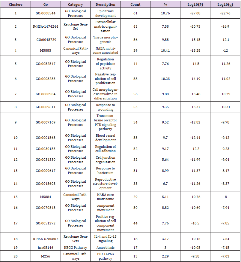 biomedres-openaccess-journal-bjstr